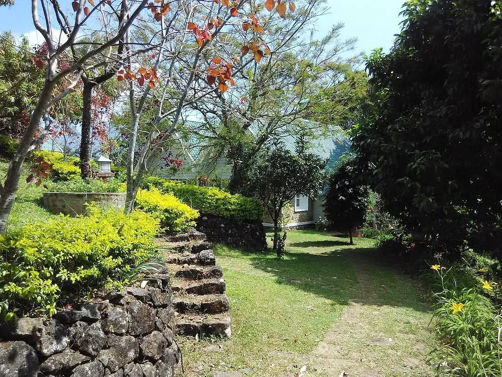**** Resort Ambady Estate Hotel Munnar India