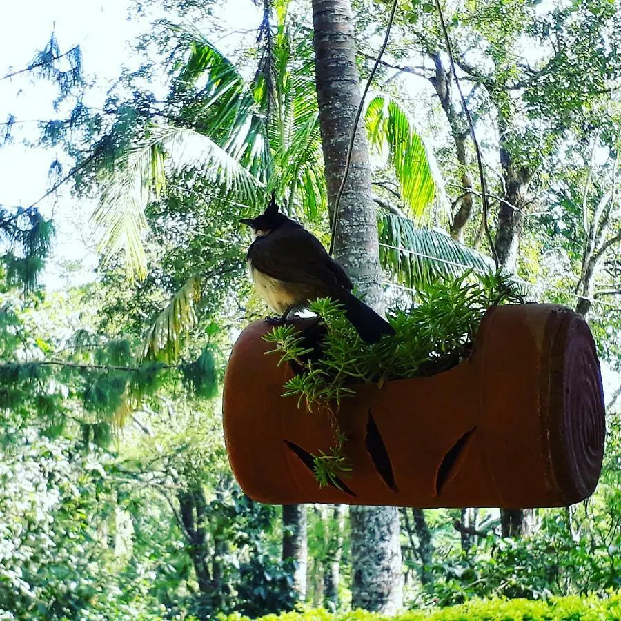 Resort Ambady Estate Hotel Munnar
